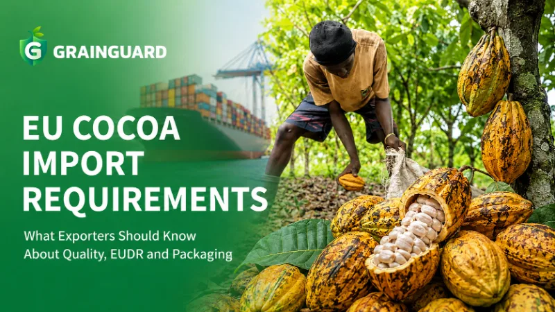 Requisitos de importação de cacau da UE O que os exportadores devem saber sobre qualidade, EUDR e embalagem